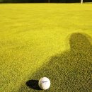 군위 오펠골프클럽 이미지