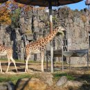 살기 좋고 안전한 국내 도시 &#34;1위&#34; 과천 갈 만한 곳 7 (+맛집) 이미지