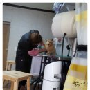 미소짓개 | 애견미용뷰티플랫폼 GO펫후기