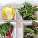 영원의 빛 - 진달 | 무한리필 쌈채소 + 하이포크 우리흑돈 생목살이 맛있는 '쌈사랑' 솔직 경험 후기 ! (+ 메뉴 및 주차 정보)