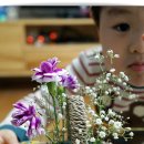 나사렛유치원 이미지