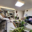 다솔공인중개사사무소 이미지