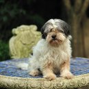 춘자농장 이미지