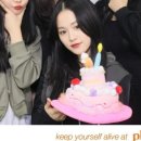 너희동네술집 이미지