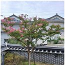 신라펜션 이미지