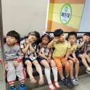 꿈나무교통나라 이미지