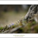 산본중앙공원 이미지