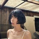 나나소프트 이미지