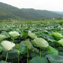 삼지수변공원 이미지