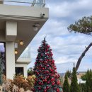 배다골길 | 고양 카페 배다골베이커리하우스, 크리스마스 분위기와 맛있는 빵 그리고 게이샤 커피