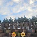 거제스포츠파크 제1축구장 | 거제 가볼만한곳 아이와 산책 자전거 킥보드 타기 좋은곳 스포츠파크 무지개길