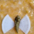 상원농장 이미지