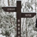 눈꽃새펜션 이미지
