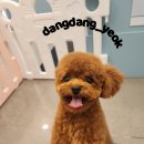 꾸꾸#