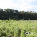 두산2리 이미지