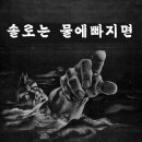 솔연 이미지