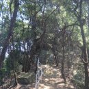 봉양1통 | 양주 칠봉산 등반 후기