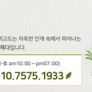 고객 후기