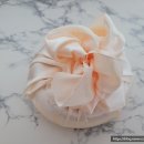 라니스테이블 이미지