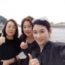 명지인셀덤