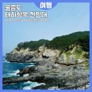향목 | 울릉도여행 태하향목관광모노레일 전망대 대풍감 트레킹 해안산책로