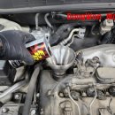 성모카센타 이미지