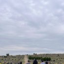 UR(파주시)-[필승로]-상-15 | 자반고 파주점(개천절 휴일, 6인가족 점심식사)