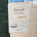 시오리펫살롱 | 평택 애견카페 후기|일보시개|넓은 실내 운동장에서 뛰어놀기🐶