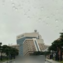 마운틴마트 LC타워점 | 강원도 고성여행 소노벨 east 델피노 패밀리 설악마운틴 침대 취사방에서 2박 3일