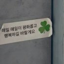 신창의료기 | [아산 전동스쿠터] 부모님의 안전한 발, '태양의료기'가 책임집니다!