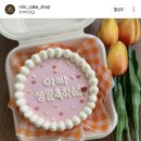 레터링 케이크 만들기♡ 안양 쁘띠렌 후기
