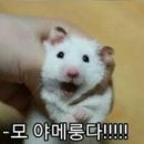 가성비 본식 DVD 중앙필름 웨딩영상 업체 비교 예약후기