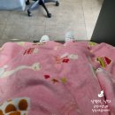 산곡역1번출구(40420) | 산곡역 미용실 헤어살롱비 스폐셜 두피스파로 시원하게 마사지 후기!