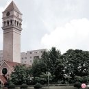 [2급과정] 아동폭력예방상담사 2급 이미지