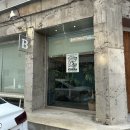 애견시선 | 부평구청 카페ㅣ쿠지모닝파크ㅣ이국적인 플랜테리어 청리단길카페, 주차정보