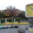 꽃그리고 이미지