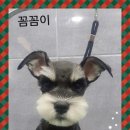 깍까독 이미지