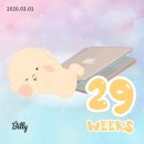 김밥 앤 주먹밥 | [임신일기] 임신 29~31주차 임신 후기 일상 입체 초음파 후기