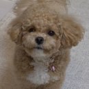 대본농장 이미지