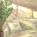 김태순 | 한요한의 열다섯 번째 싱글 [The Shine] / 발매 후기