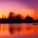 靑龍의 비상 이미지