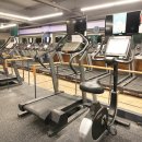 스타칼리 이미지