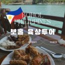 보홀 육상투어 데이투어 바클레욘성당 로복강 안경원숭이 초콜릿힐