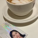 영대연합동물병원 | 증명사진 실패없는 영대병원역 아이디얼 스튜디오(여권사진 맛집)