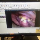 어니스트 동물병원 이미지