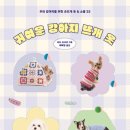 언니네 강아지 이미지