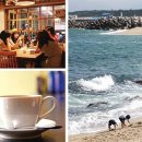 낭만가도 이미지