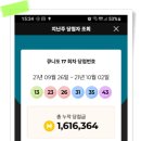 나비캐롬 이미지