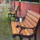 월드오일 이미지