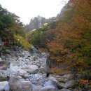 동광교회 이미지